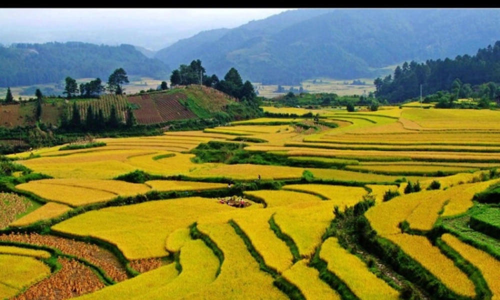 秋三年级语文上册《我眼中的秋天》课件2 沪教版-沪教版小学三年级上册语文课件