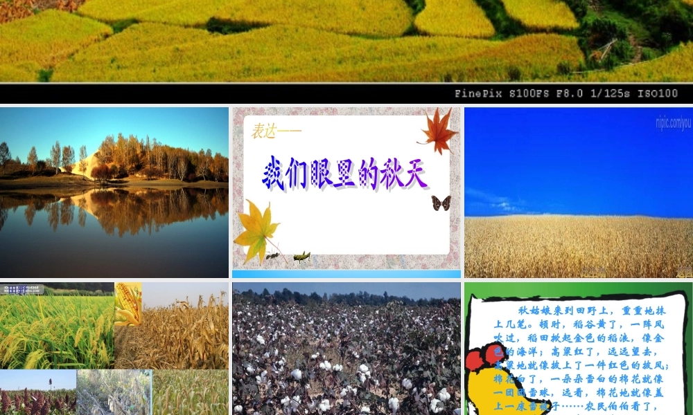 秋三年级语文上册《我眼中的秋天》课件2 沪教版-沪教版小学三年级上册语文课件