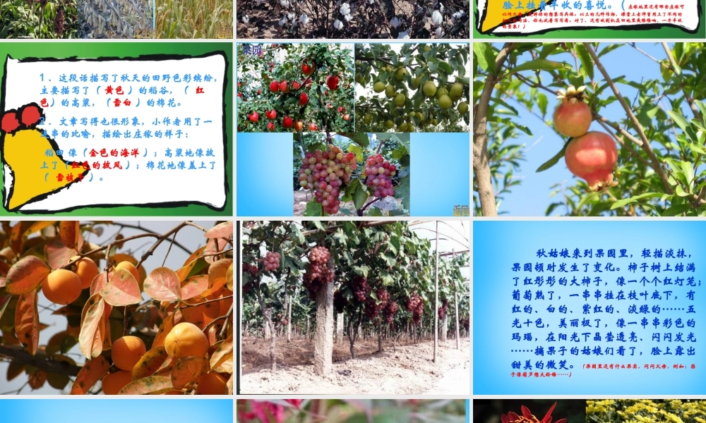 秋三年级语文上册《我眼中的秋天》课件2 沪教版-沪教版小学三年级上册语文课件