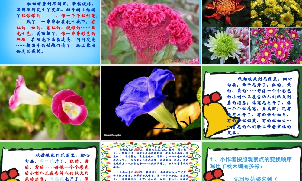 秋三年级语文上册《我眼中的秋天》课件2 沪教版-沪教版小学三年级上册语文课件