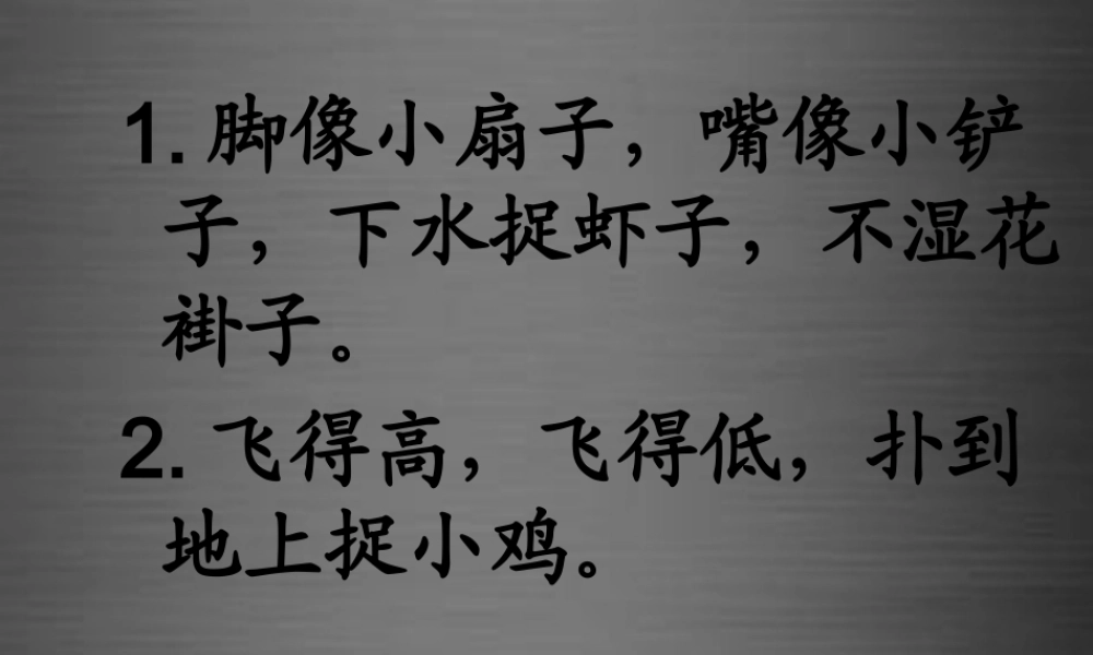 秋一年级语文上册《自己去吧》课件1 冀教版-冀教版小学一年级上册语文课件