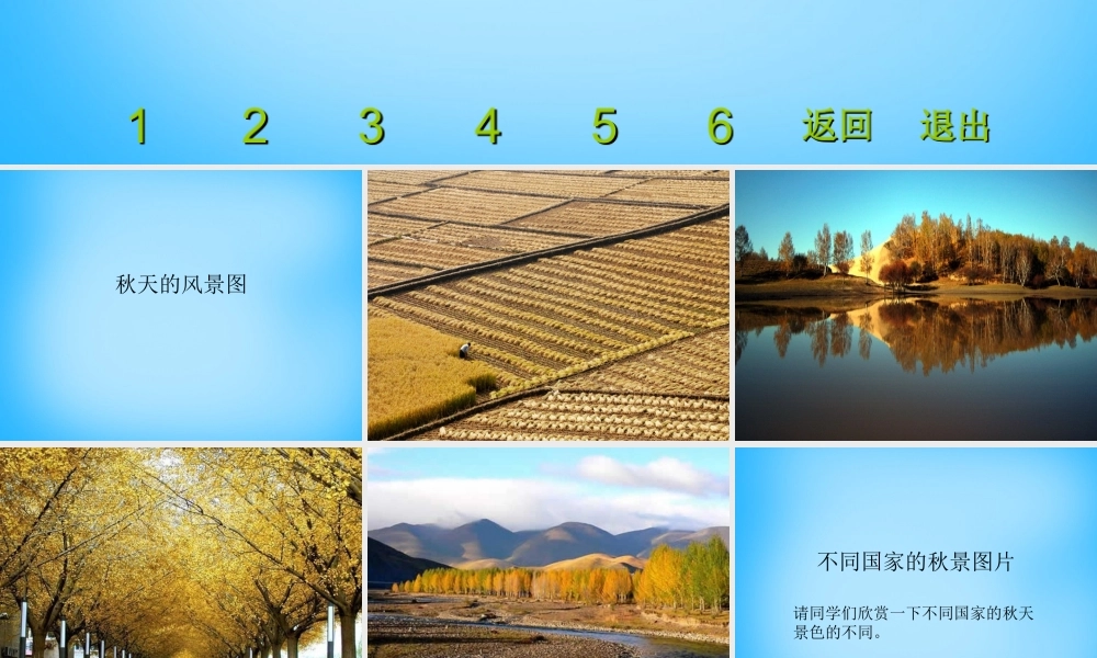 秋三年级语文上册《我眼中的秋天》课件3 沪教版-沪教版小学三年级上册语文课件