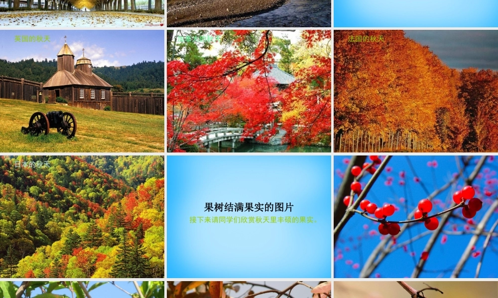 秋三年级语文上册《我眼中的秋天》课件3 沪教版-沪教版小学三年级上册语文课件