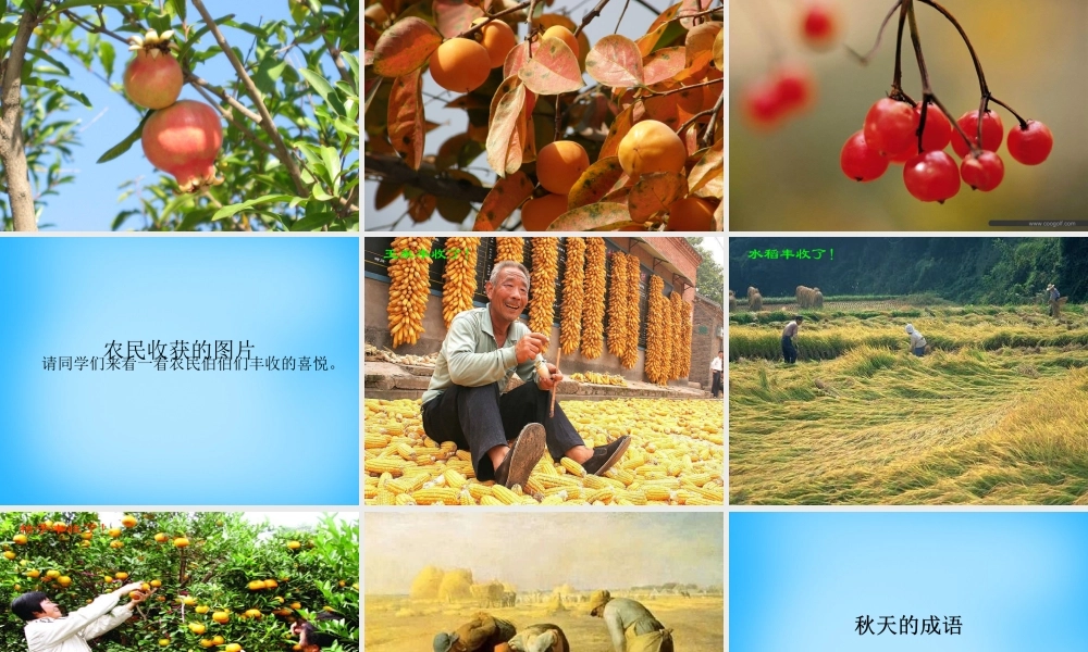 秋三年级语文上册《我眼中的秋天》课件3 沪教版-沪教版小学三年级上册语文课件