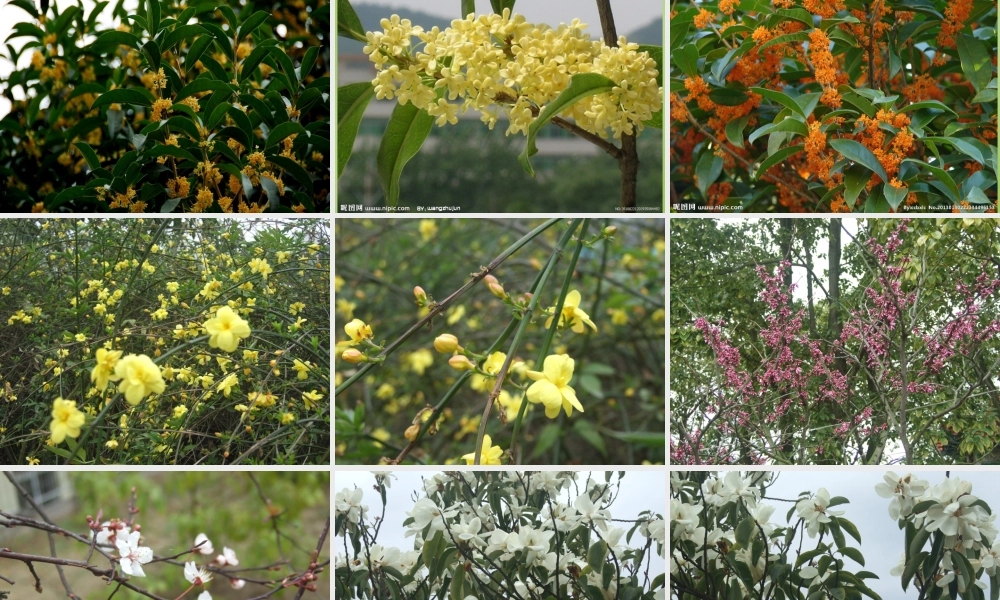 秋三年级语文上册《五彩池》课件2 北师大版-北师大版小学三年级上册语文课件