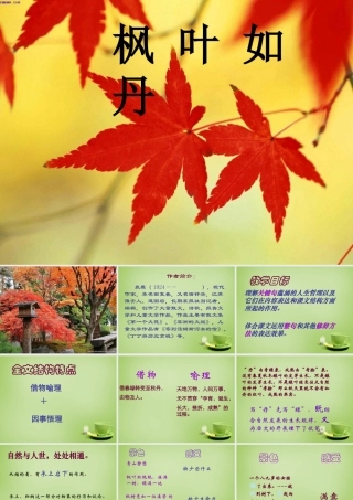 秋五年级语文上册《枫叶如丹》课件4 北师大版-北师大版小学五年级上册语文课件