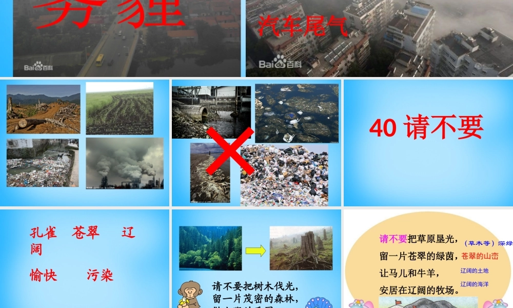 秋二年级语文上册《请不要》课件1 沪教版-沪教版小学二年级上册语文课件