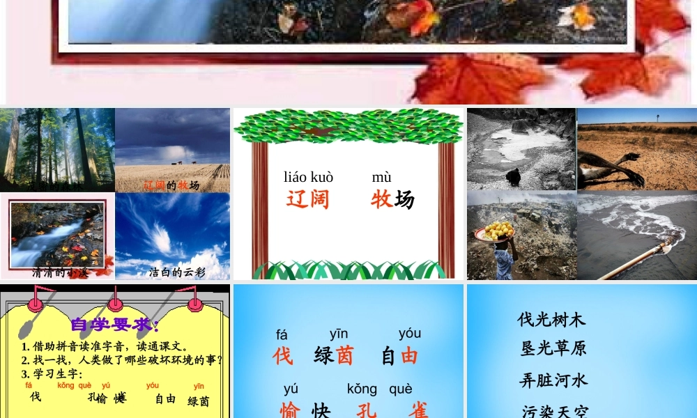 秋二年级语文上册《请不要》课件2 沪教版-沪教版小学二年级上册语文课件