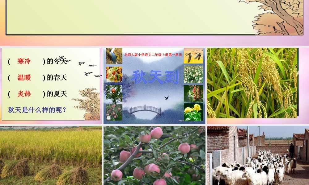 秋二年级语文上册《秋天到》课件1 北师大版-北师大版小学二年级上册语文课件