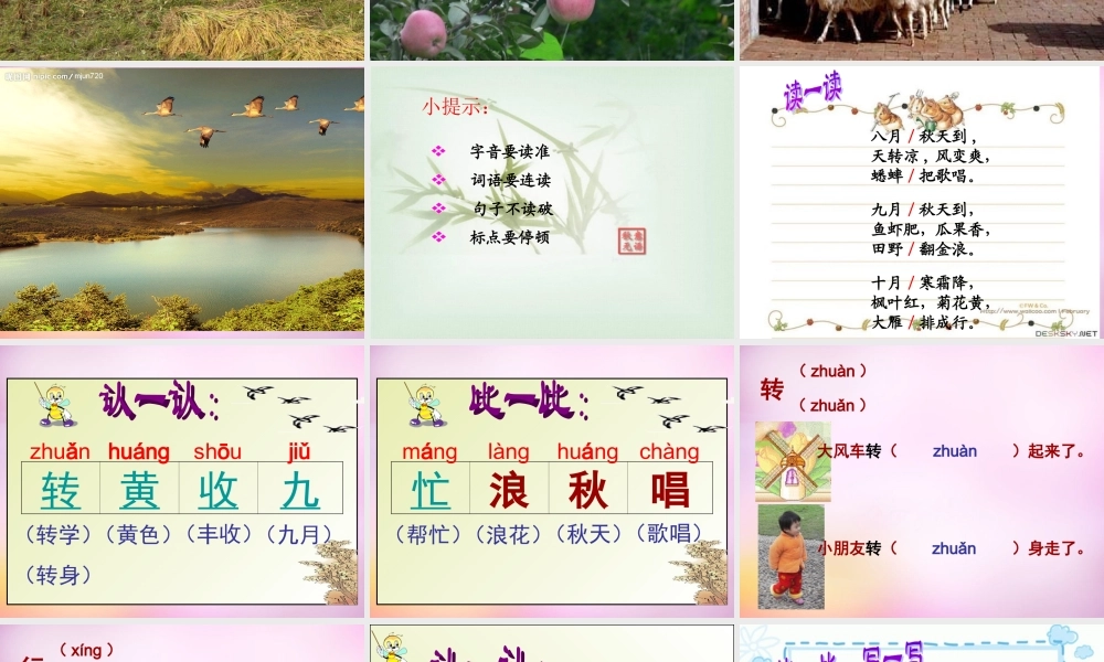 秋二年级语文上册《秋天到》课件1 北师大版-北师大版小学二年级上册语文课件