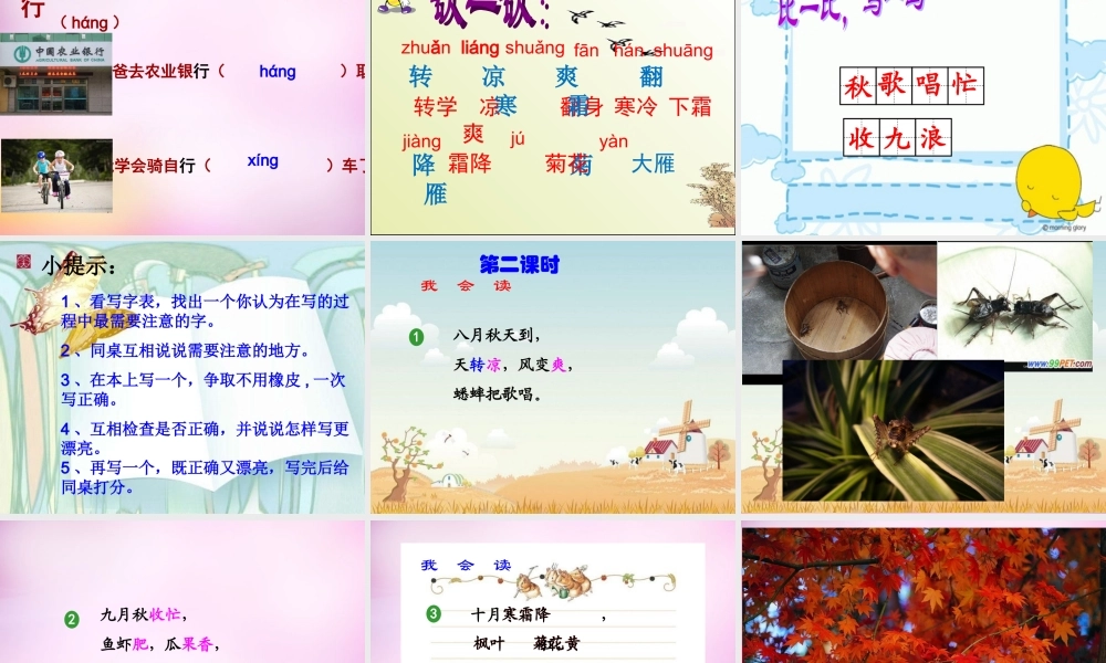 秋二年级语文上册《秋天到》课件1 北师大版-北师大版小学二年级上册语文课件