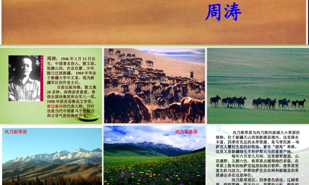 秋五年级语文上册《巩乃斯的马》课件1 北师大版-北师大版小学五年级上册语文课件