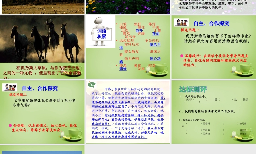 秋五年级语文上册《巩乃斯的马》课件1 北师大版-北师大版小学五年级上册语文课件
