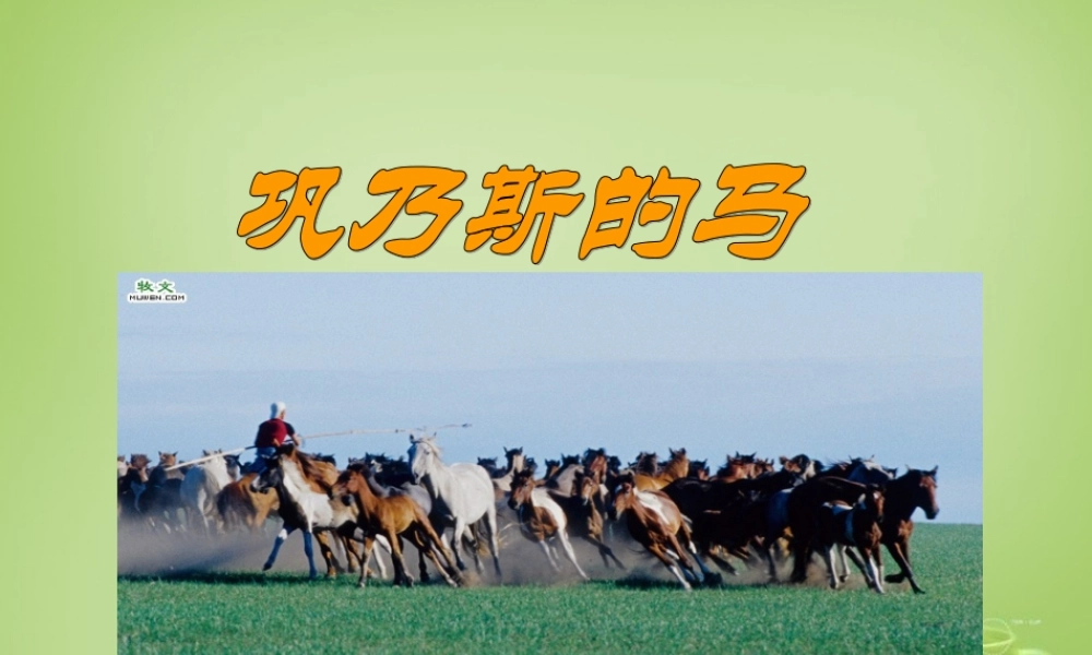 秋五年级语文上册《巩乃斯的马》课件2 北师大版-北师大版小学五年级上册语文课件