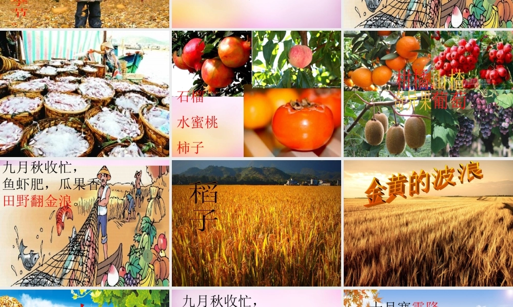 秋二年级语文上册《秋天到》课件2 北师大版-北师大版小学二年级上册语文课件