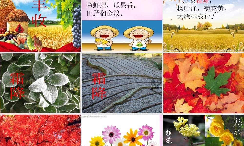 秋二年级语文上册《秋天到》课件2 北师大版-北师大版小学二年级上册语文课件