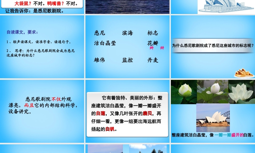 秋三年级语文上册《悉尼歌剧院》课件3 沪教版-沪教版小学三年级上册语文课件