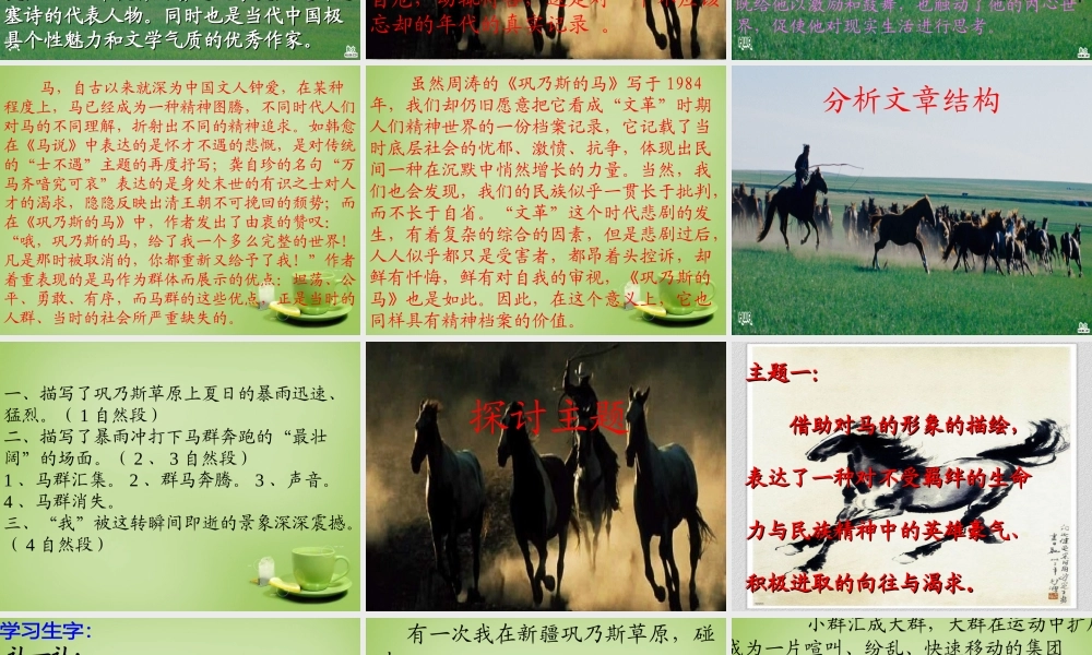 秋五年级语文上册《巩乃斯的马》课件3 北师大版-北师大版小学五年级上册语文课件