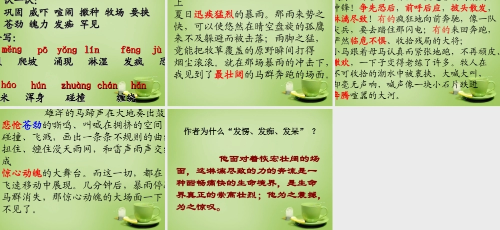 秋五年级语文上册《巩乃斯的马》课件3 北师大版-北师大版小学五年级上册语文课件