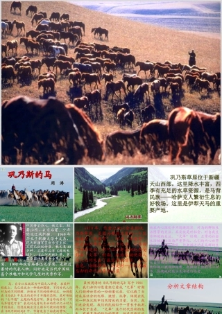 秋五年级语文上册《巩乃斯的马》课件3 北师大版-北师大版小学五年级上册语文课件