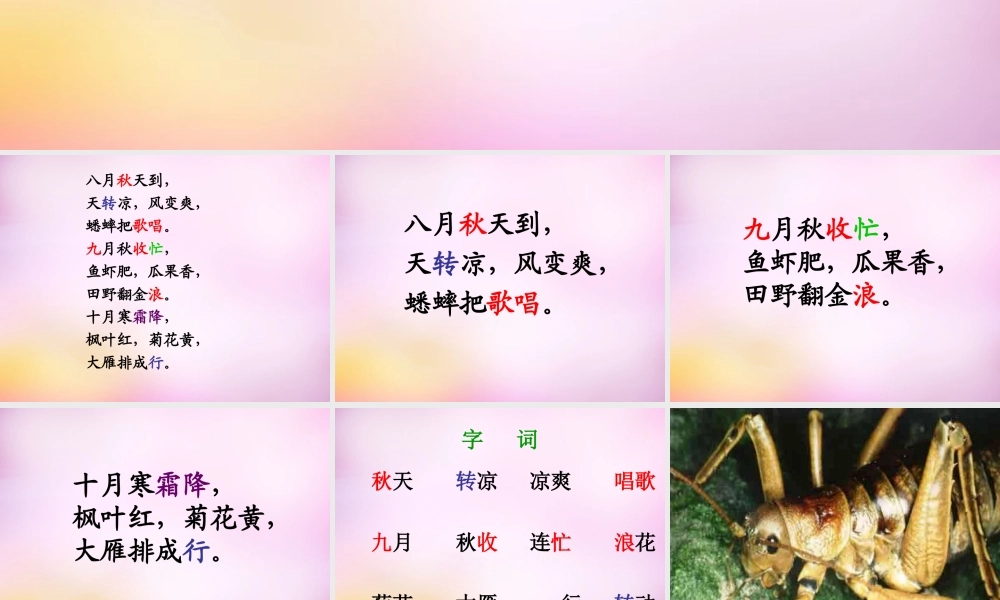 秋二年级语文上册《秋天到》课件3 北师大版-北师大版小学二年级上册语文课件