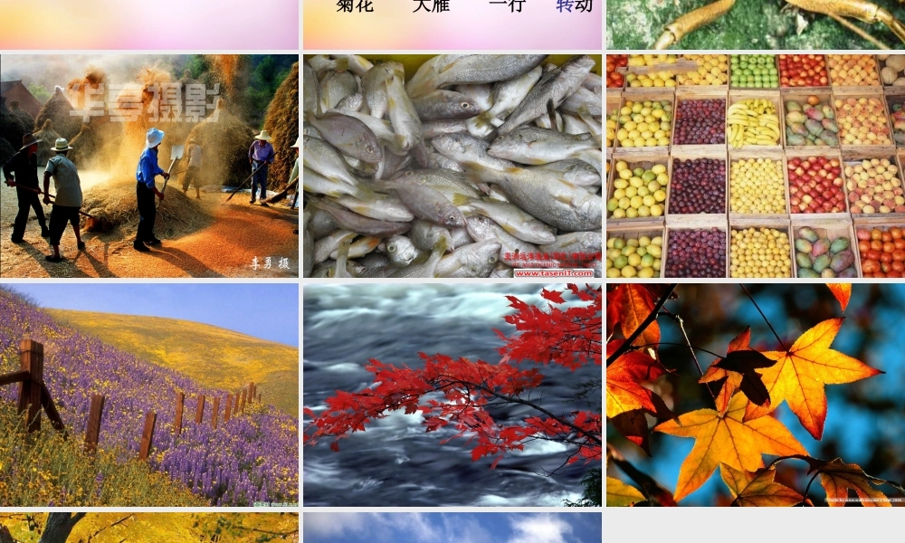 秋二年级语文上册《秋天到》课件3 北师大版-北师大版小学二年级上册语文课件