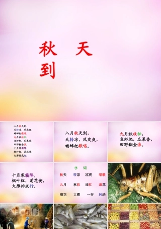 秋二年级语文上册《秋天到》课件3 北师大版-北师大版小学二年级上册语文课件