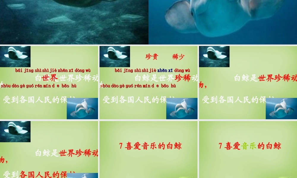 秋三年级语文上册《喜爱音乐的白鲸》课件1 北师大版-北师大版小学三年级上册语文课件