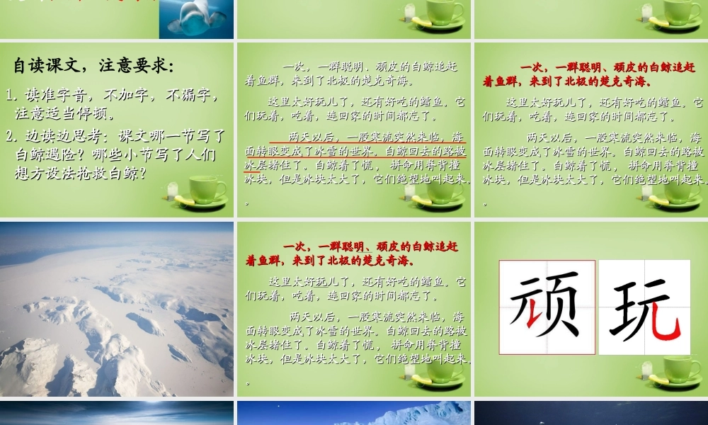 秋三年级语文上册《喜爱音乐的白鲸》课件1 北师大版-北师大版小学三年级上册语文课件