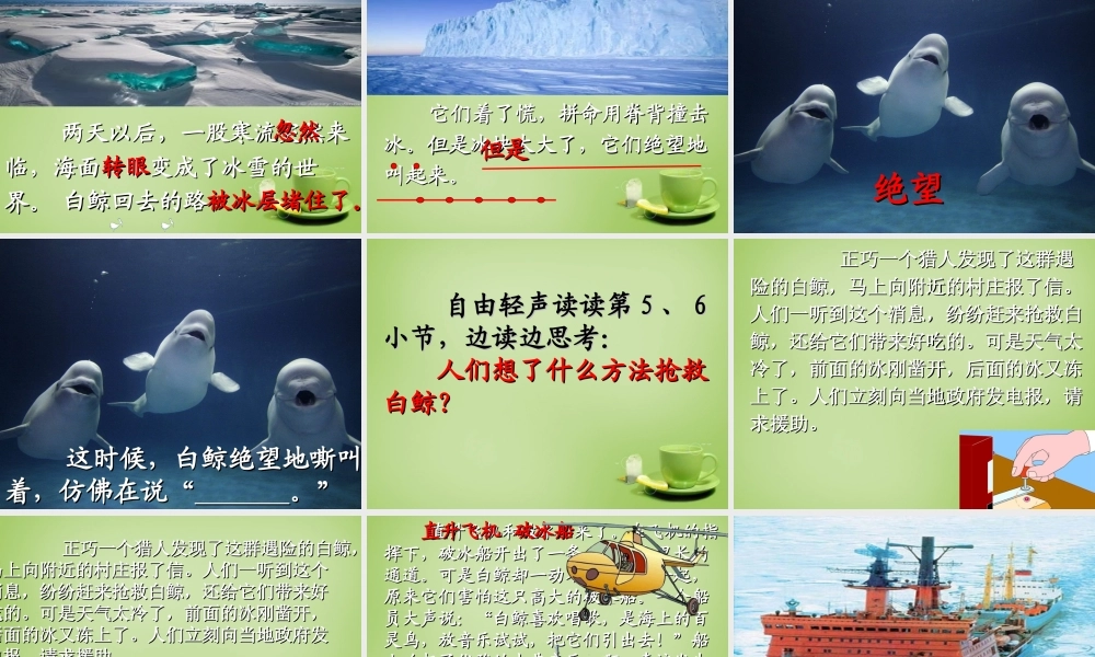 秋三年级语文上册《喜爱音乐的白鲸》课件1 北师大版-北师大版小学三年级上册语文课件