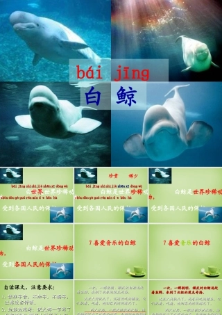 秋三年级语文上册《喜爱音乐的白鲸》课件1 北师大版-北师大版小学三年级上册语文课件