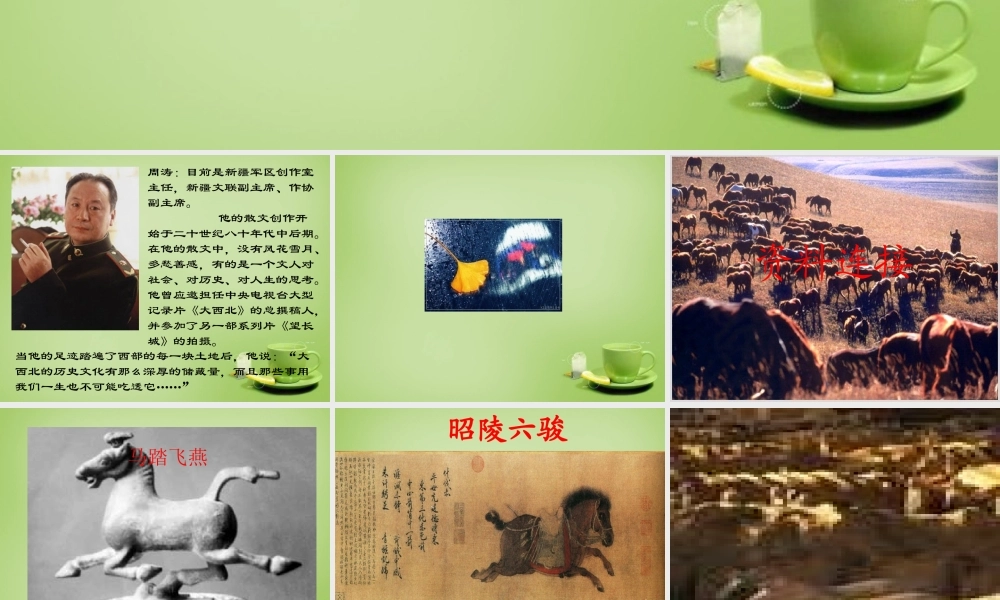 秋五年级语文上册《巩乃斯的马》课件4 北师大版-北师大版小学五年级上册语文课件