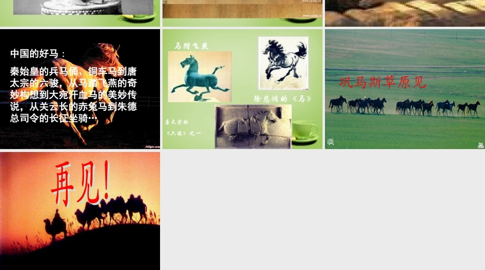 秋五年级语文上册《巩乃斯的马》课件4 北师大版-北师大版小学五年级上册语文课件