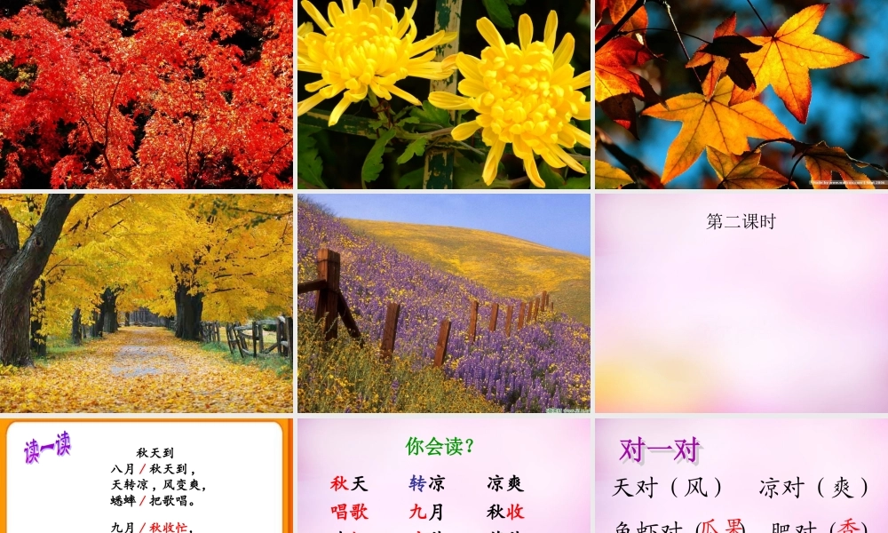 秋二年级语文上册《秋天到》课件4 北师大版-北师大版小学二年级上册语文课件