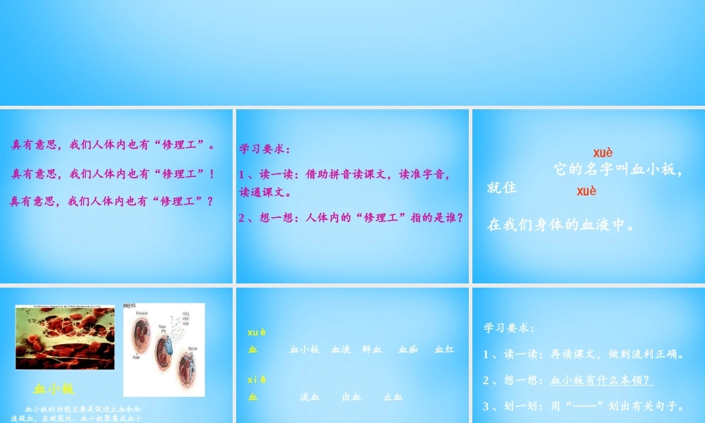 秋二年级语文上册《人体内的修理工》课件1 沪教版-沪教版小学二年级上册语文课件