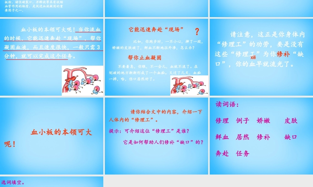 秋二年级语文上册《人体内的修理工》课件1 沪教版-沪教版小学二年级上册语文课件