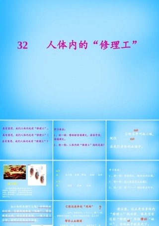 秋二年级语文上册《人体内的修理工》课件1 沪教版-沪教版小学二年级上册语文课件
