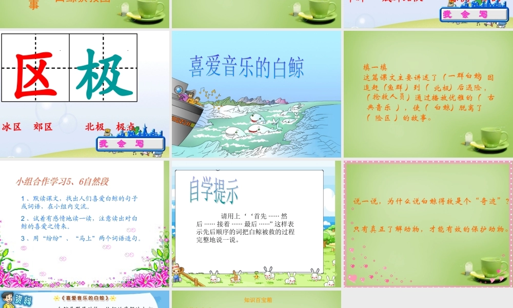秋三年级语文上册《喜爱音乐的白鲸》课件2 北师大版-北师大版小学三年级上册语文课件