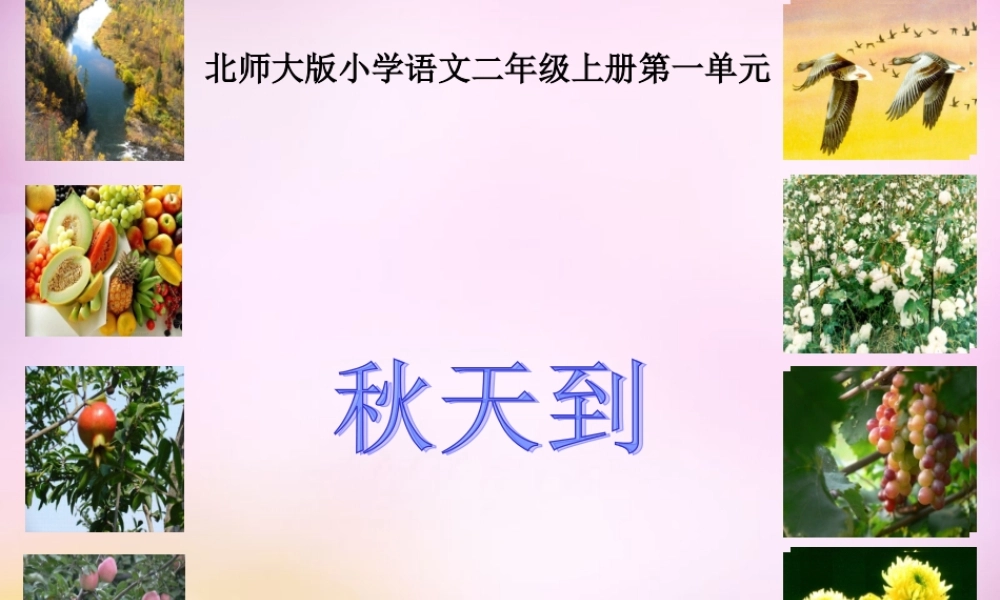 秋二年级语文上册《秋天到》课件5 北师大版-北师大版小学二年级上册语文课件