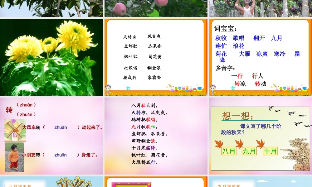 秋二年级语文上册《秋天到》课件5 北师大版-北师大版小学二年级上册语文课件