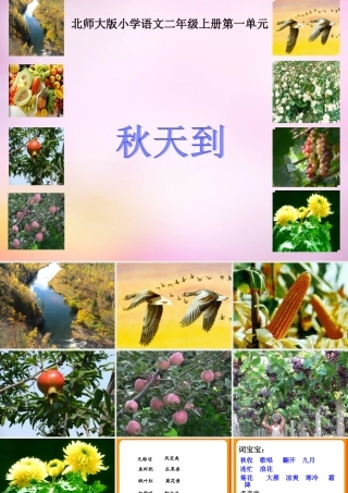 秋二年级语文上册《秋天到》课件5 北师大版-北师大版小学二年级上册语文课件