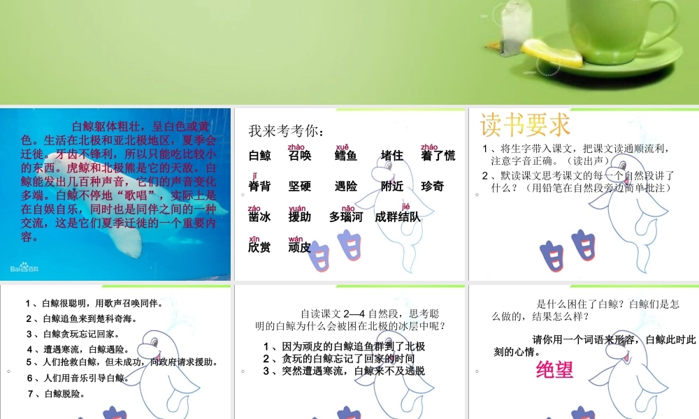秋三年级语文上册《喜爱音乐的白鲸》课件3 北师大版-北师大版小学三年级上册语文课件