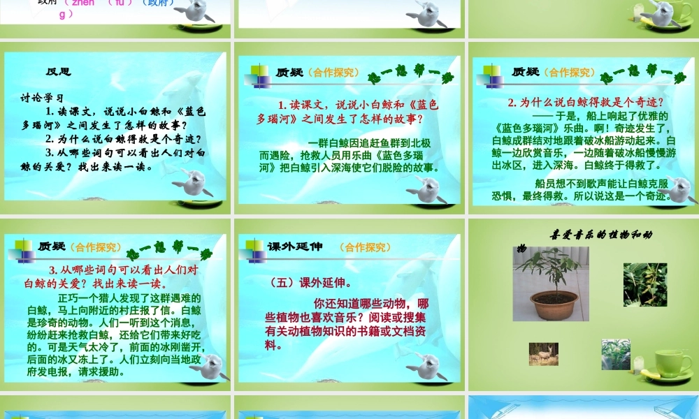 秋三年级语文上册《喜爱音乐的白鲸》课件4 北师大版-北师大版小学三年级上册语文课件