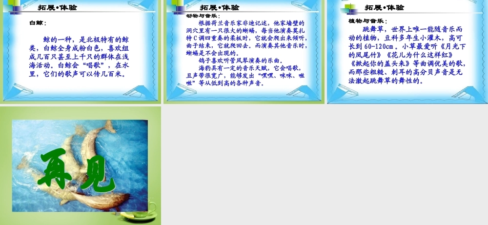 秋三年级语文上册《喜爱音乐的白鲸》课件4 北师大版-北师大版小学三年级上册语文课件