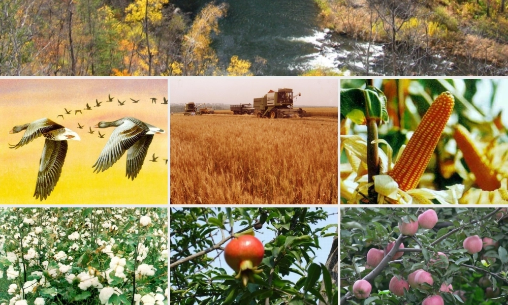 秋二年级语文上册《秋天到》课件6 北师大版-北师大版小学二年级上册语文课件