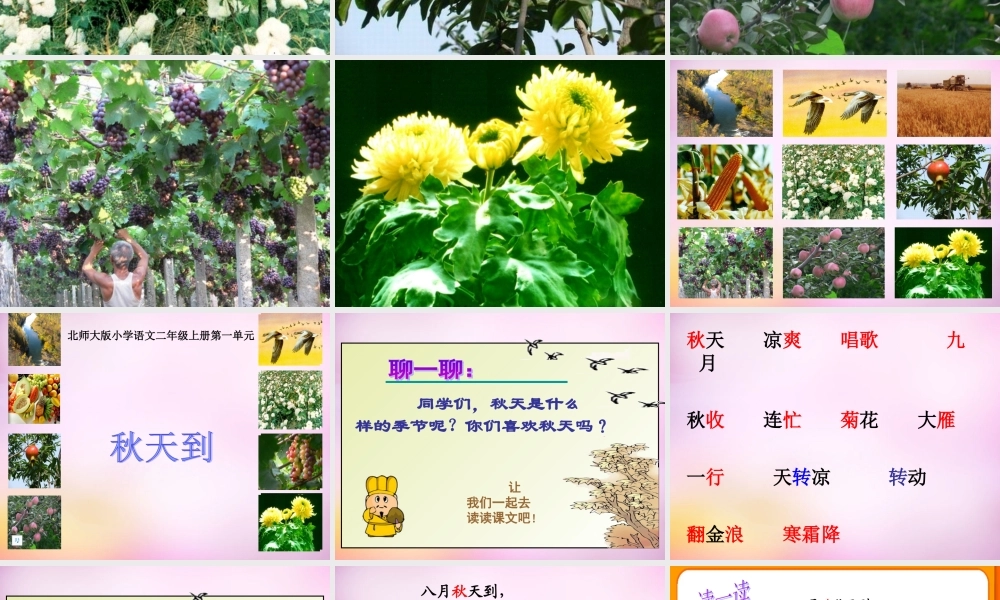 秋二年级语文上册《秋天到》课件6 北师大版-北师大版小学二年级上册语文课件