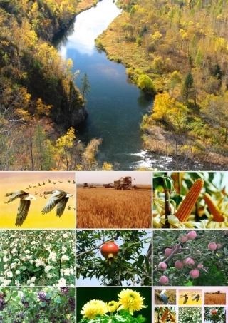 秋二年级语文上册《秋天到》课件6 北师大版-北师大版小学二年级上册语文课件