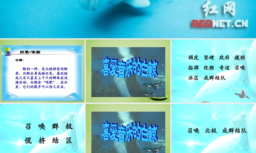 秋三年级语文上册《喜爱音乐的白鲸》课件5 北师大版-北师大版小学三年级上册语文课件