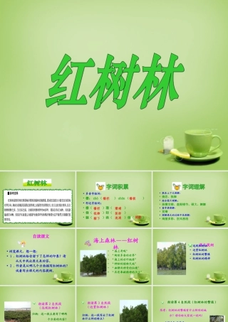 秋五年级语文上册《红树林》课件1 北师大版-北师大版小学五年级上册语文课件