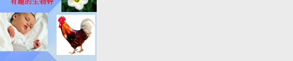 秋五年级科学上册 2.1《精确时间的步伐》课件2 大象版-大象版小学五年级上册自然科学课件